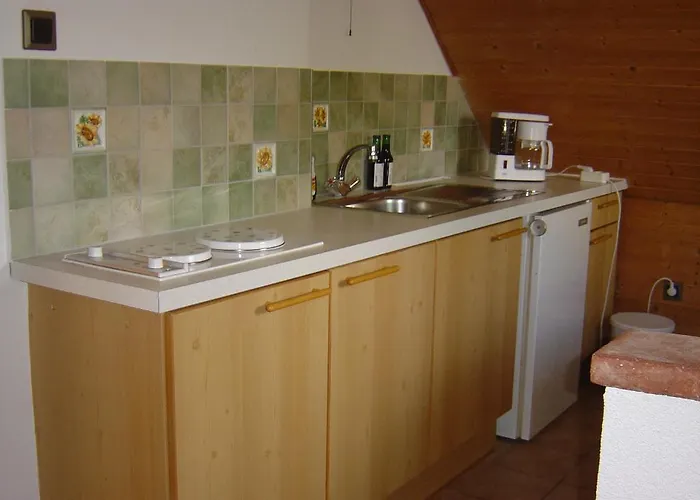 Haus Sanz Vienne